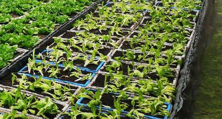 測土配方施肥儀 測土配方施肥儀