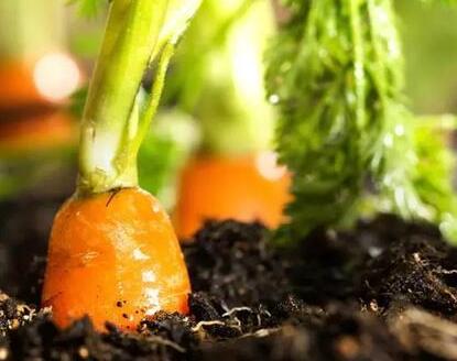 土壤肥料養(yǎng)分檢測儀 土壤肥料養(yǎng)分檢測儀