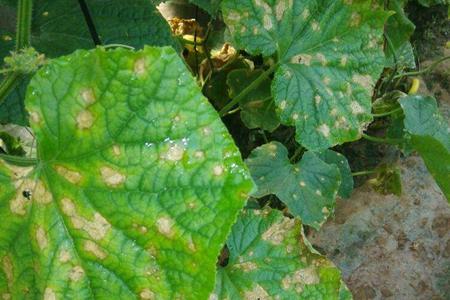 測土配方施肥儀 測土配方施肥儀