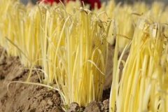 山東云唐土壤重金屬測定儀,值得買嗎?