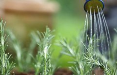 農(nóng)業(yè)生產(chǎn)者配備土壤水分測(cè)定儀有何作用？