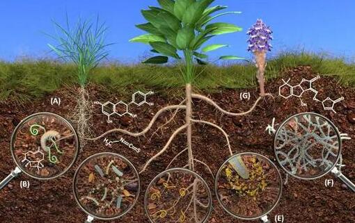 測土配方施肥儀 測土配方施肥儀